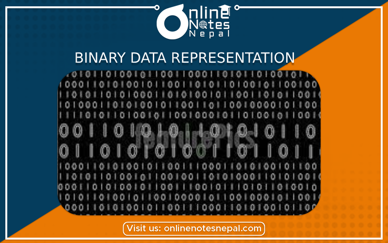Binary Data Representation - Photo